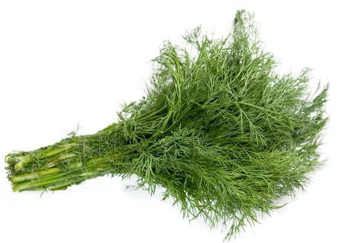 juicy green dill on a white background