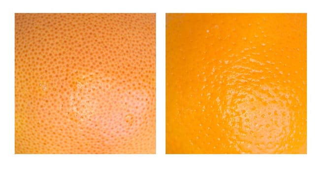 Texture. grapefruit and orange on a white background