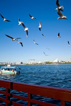 View of Dubai Creek, UAE