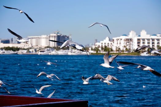 View of Dubai Creek, UAE