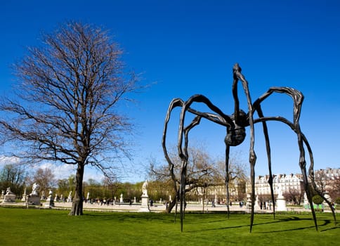 Big black spider in Garden of Versailles in Paris, France