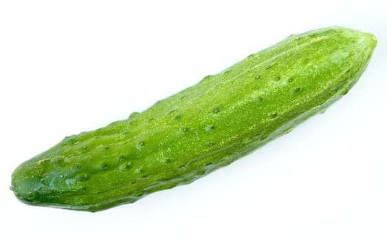 fresh cucumber on a white background