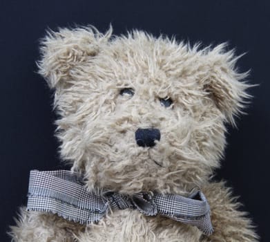 teddy bear