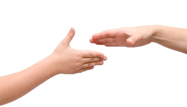 handshake on a white background