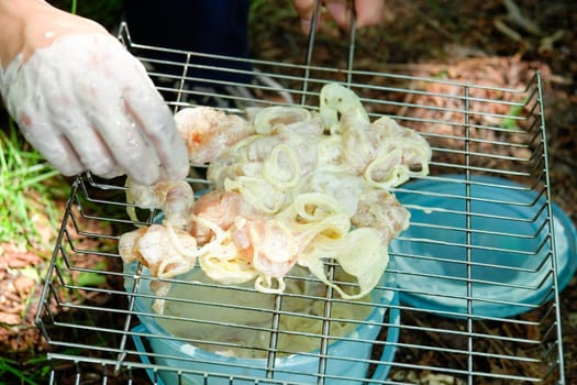 barbecue. Meat and onions on a barbecue
