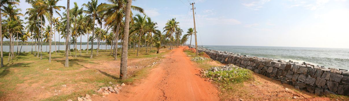 Canals in the  Back Waters in Kerala, India.