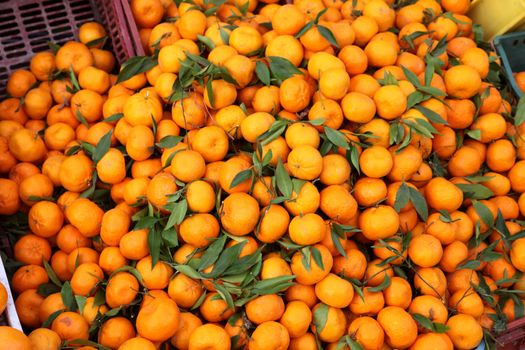 Oranges