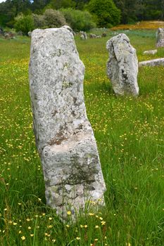 Carnac in France. Prehistoric stones under a blue sky in a bright summer morning with trees and forest all around