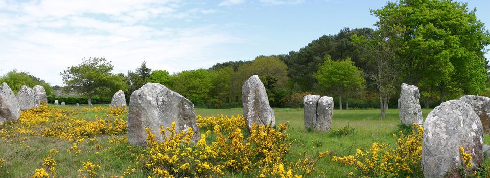 Carnac in Morbihan (Brittany  France) - Prehistoric stones under a blue sky in a bright summer morning with trees and forest all around