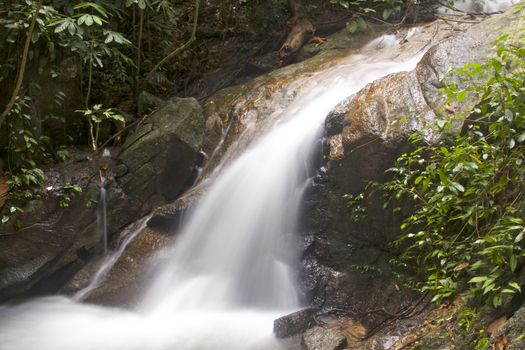 Waterfall in jungle with lush green trees around