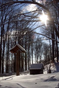 Snow covered forest, Sljeme, Zagreb, Croatia