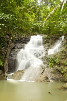 Waterfall in jungle with lush green trees around
