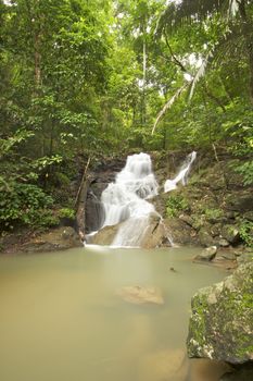 Waterfall in jungle with lush green trees around