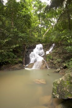 Waterfall in jungle with lush green trees around