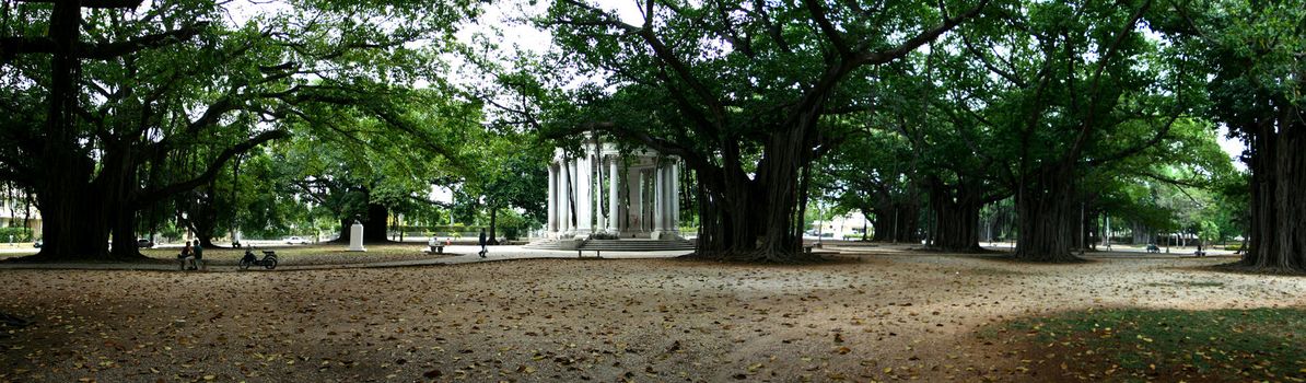 Public garden in the center of Havana