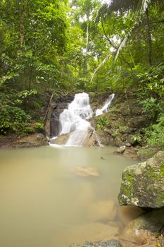 Waterfall in jungle with lush green trees around