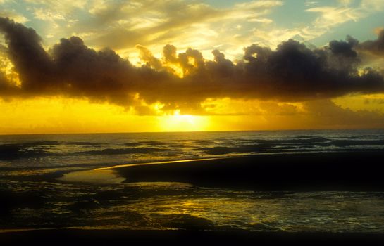 Rising sun on troncoso in Brazil