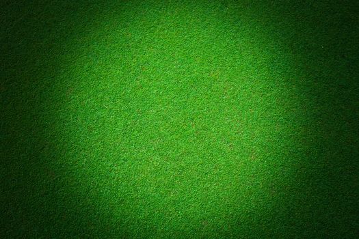 Real green grass background