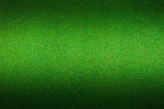 Real green grass background