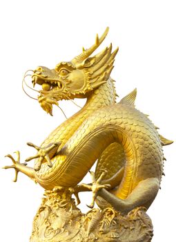 Golden dragon statue in white background