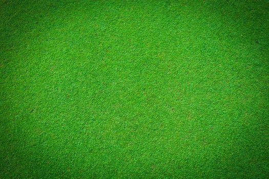 Real green grass background