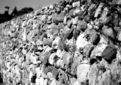 stone wall illuminated by the summer sun