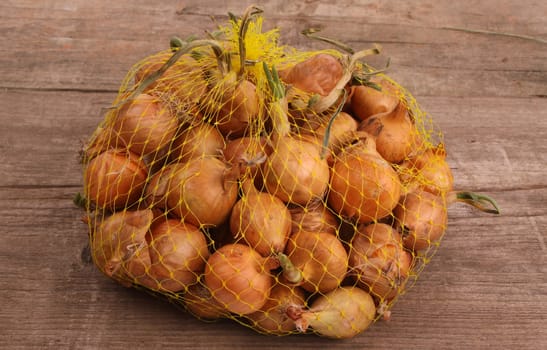 Onion on an old rustic wooden table