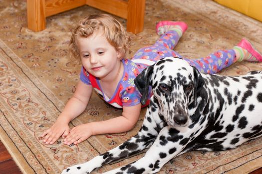 Two pals playing on the carpet together.