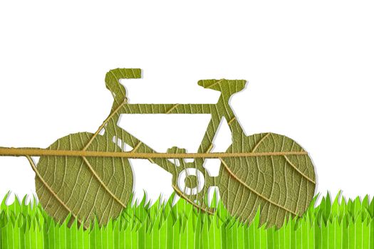 Pushbike from green leave, eco concept