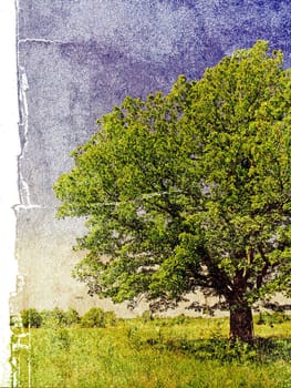 grunge background