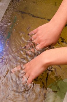 Fish therapy for skin of hand at spa