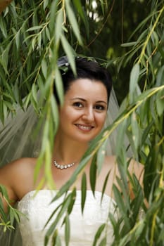 The beautiful bride on a green background