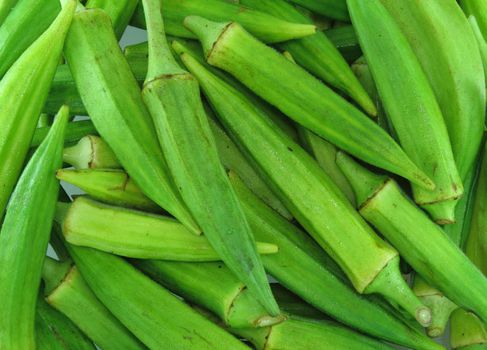 Fresh okra for with background