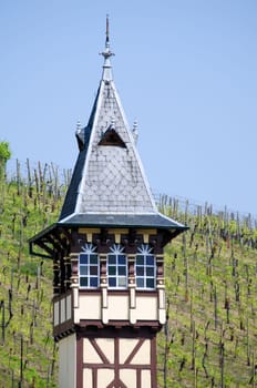the vineyards of Alsace
