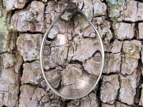 the water drop and bark