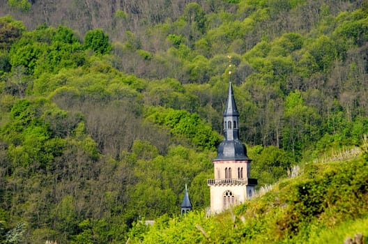 the  church tower in the forest