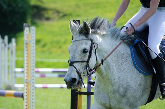 jumping event