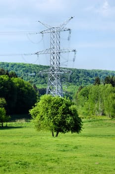 the little tree and the large electricity pylon