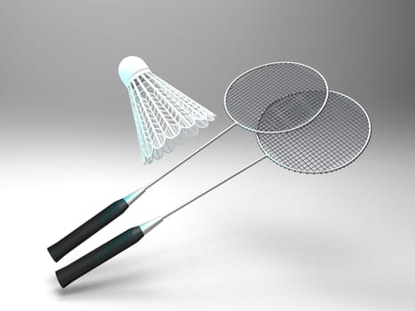 the badminton