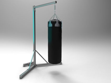 the punching bag