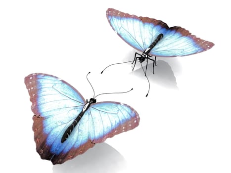the beautiful butterfly with wings
