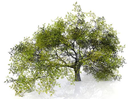 green tree