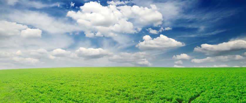 white clouds and a green field