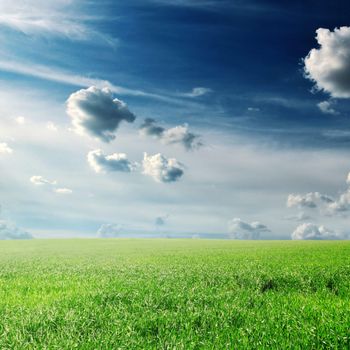 white  clouds and a green field