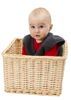 toddler in wickerbasket isolated on white background