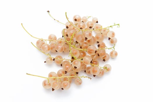 Currant berries on the white background