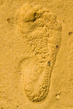 Footprint in the sand on a solar beach