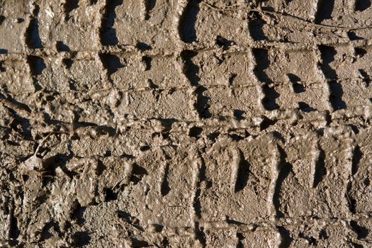 Traces of automobile tires in a grey dirt