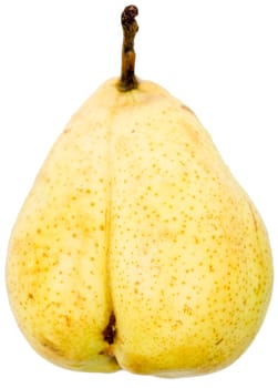 A single pear on a white background