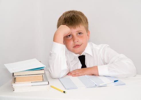 a young boy studying his homework